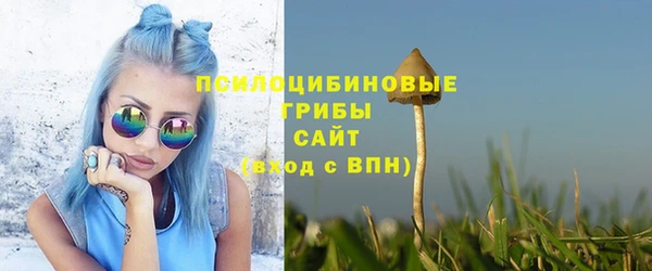 твердый Бронницы