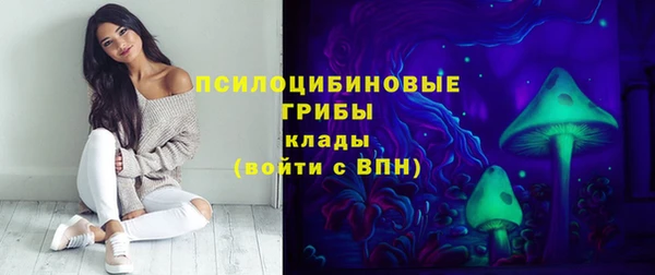 экстази Рославль