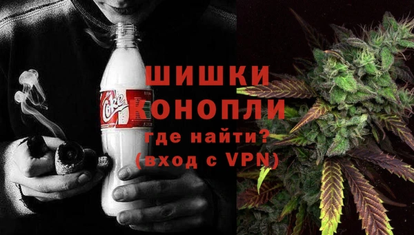 стафф Россошь