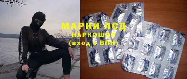 mdpv Бородино